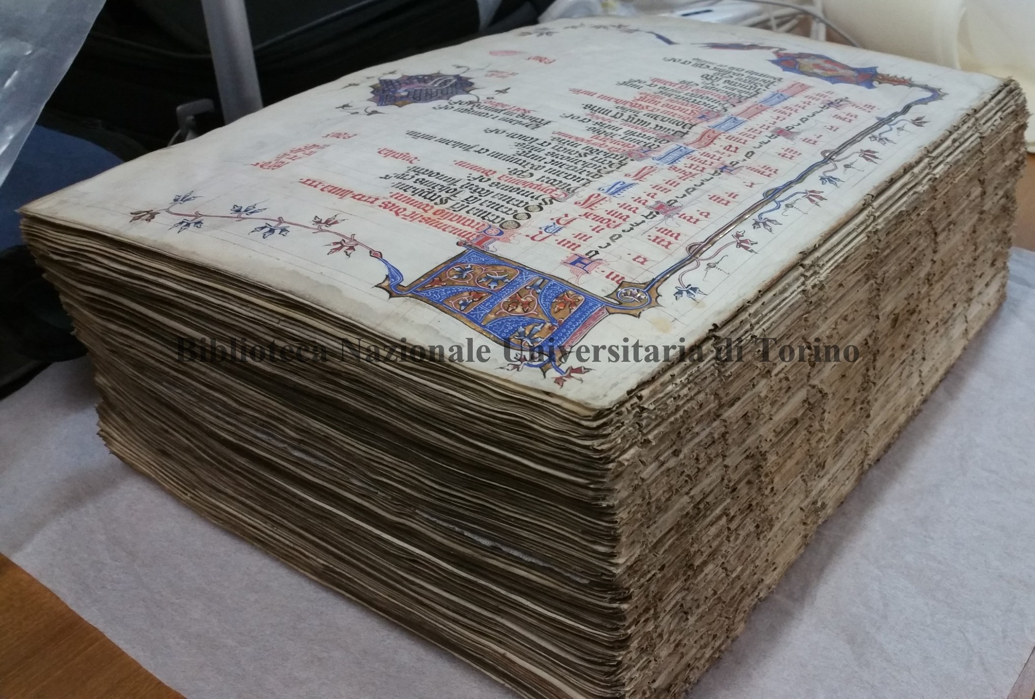 La Tutela del patrimonio della Biblioteca Nazionale Universitaria di Torino